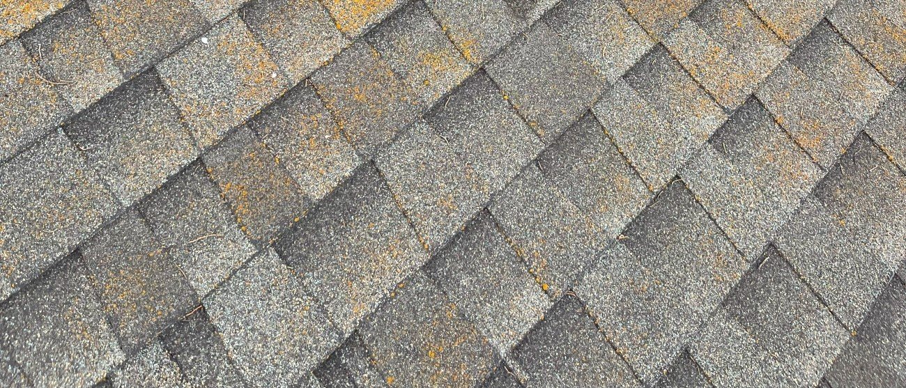 Roof Cleaning (Moss Removal)